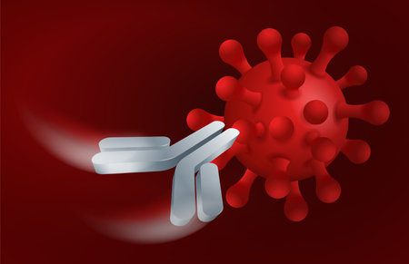 Antibody action - Y-shaped immunoglobulin poster - protein that used by the immune system to neutralize pathogens such as pathogenic bacteria and virusesのイラスト素材