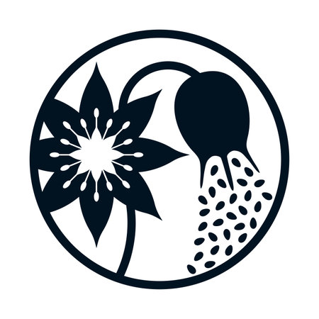 Black seeds flat icon - nigella sativa flower, fetus and seeds. Using as ingredient - cooking spices and body care componentsのイラスト素材