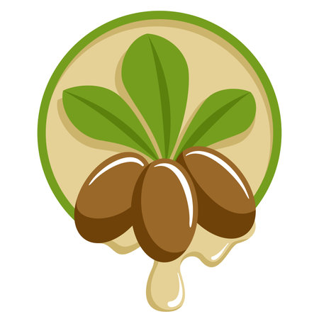 Shea Oil icon - nuts and leaves with drops of liquid extract.のイラスト素材