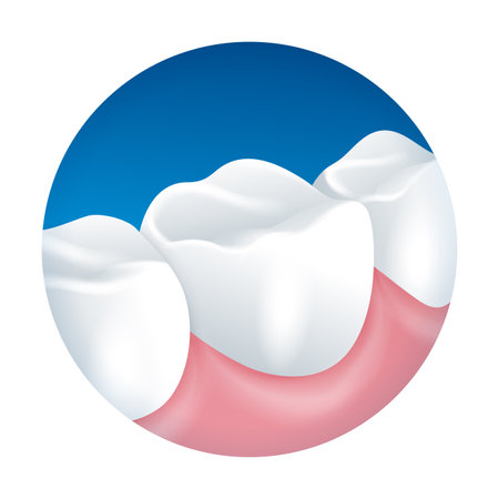 3D teeth icon for mouthwash, toothpaste or other oral hygiene. Isolated vector pictogramのイラスト素材