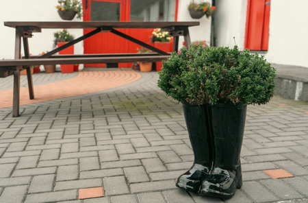 A pair of black boots transformed into a unique flowerpot, now displaying a plant adding a touch of urban design to the sidewalkの写真素材