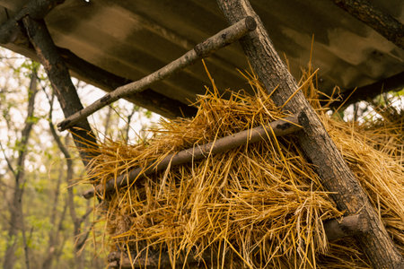 Animal feeder in autumn forest - for deer or roe. Outdoor wooden landscapeの写真素材
