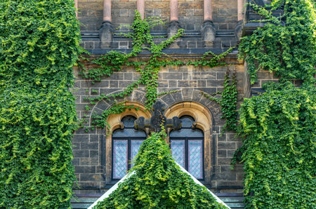 Martin Luther Church in Neustadt, Dresden. Beautiful ivy-covered neo-gothic architecture