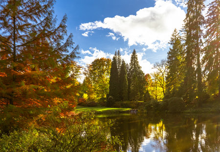 A beautiful lake in a park with trees, reflecting autumn leaves in the water, under a sky dotted with clouds, creating a picturesque natural landscapeの写真素材