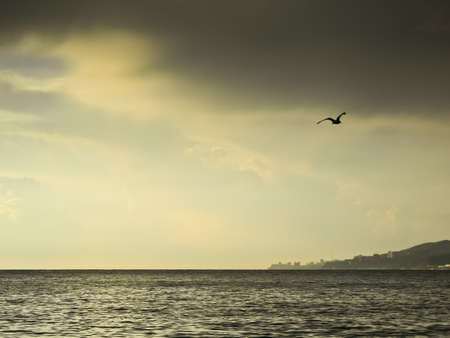 Sunset on the seaの写真素材