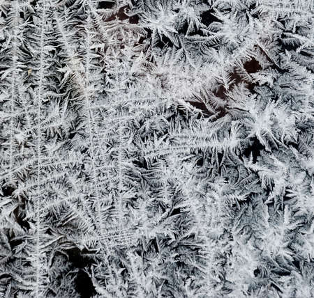 Frosty pattern in the winter on a window paneの写真素材