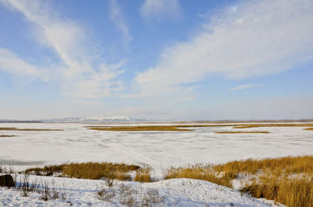 Photo winter nature in Sunny dayの写真素材
