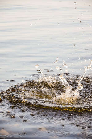 Photo spray water on a Sunny dayの写真素材