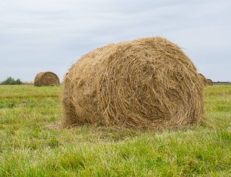 Haystacks on the field against the sky.の写真素材