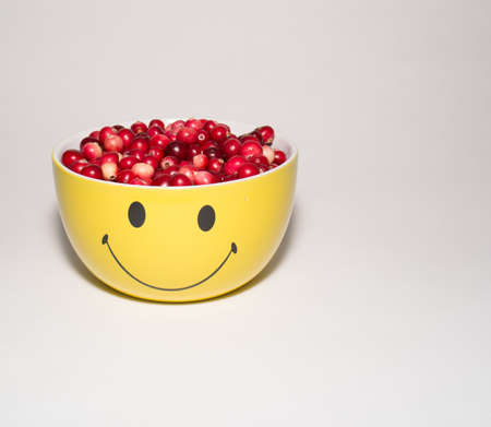 Berry cranberries on the plate.の写真素材