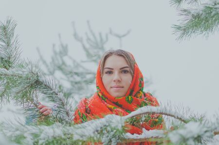 in winter snow Russian beauty in the woods.の写真素材