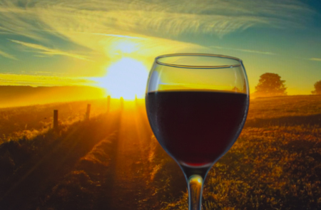 early morning a glass of red wine in the background.の写真素材