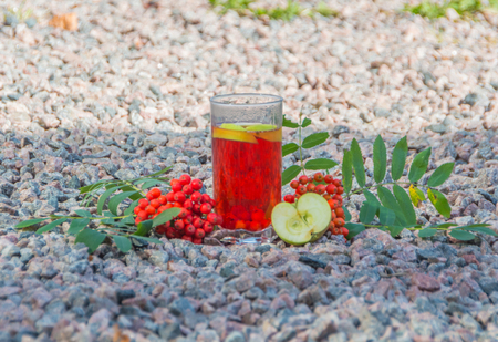 vitamin drink, berry Rowan with Apple.の写真素材