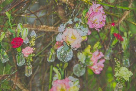 Flower in a glass bottles hanging on a branchの写真素材