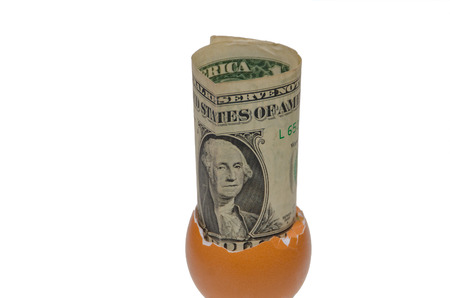 on white background, one dollar in an egg shell