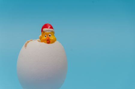 toy chick looks out of the egg shell
