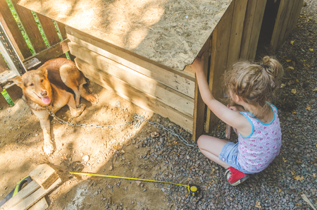 girl, child builds, repairs booth, house for dogの写真素材