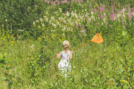 girl, a child with a net catches a butterfly on a Sunny summer dayの写真素材