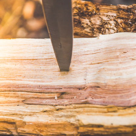 a knife stuck in a tree, wood in nature in the campaignの写真素材