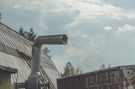 sawdust flying out the vent tube into the container for collecting garbage, factory, mill collects waste for recyclable materials for processingの写真素材