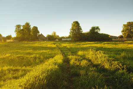 Sunshine on picturesque field to road early in morning in villageの写真素材
