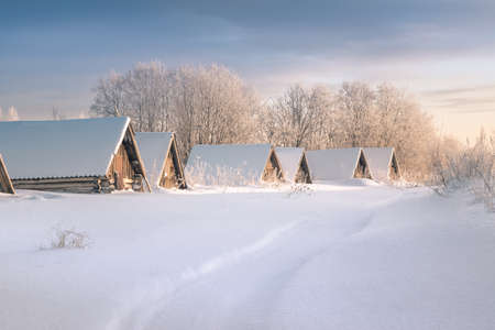 Roofs of cellars over snow in winter field on morning, reparations for winterの写真素材