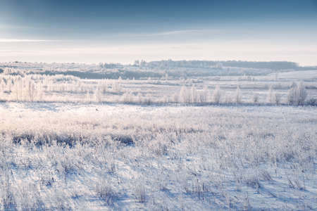 Snowy meadow and grass with hoarfrost by rising cold sun. Beautiful winter landscape. Hazy winter morningの写真素材