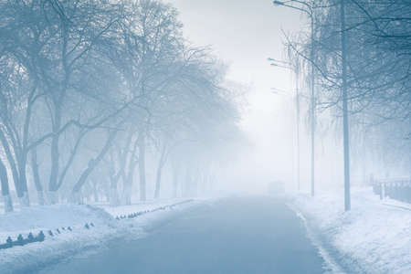Empty street in fog in mysterious cityの写真素材