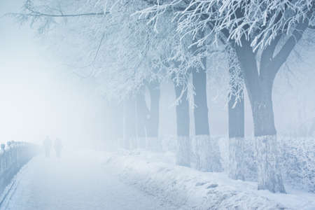 People in fog on snowy embankment with treesの写真素材