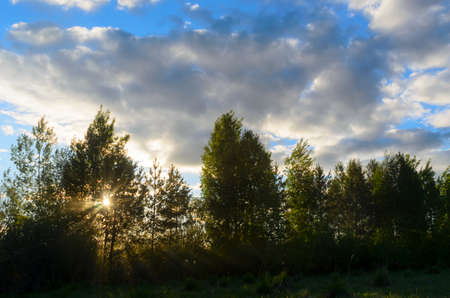 Bright sun behind the trees in the woods behind a field of grass, sits in the sunset over the horizon, under the white clouds in the blue sky, yellow rays lighting up the landscape.の写真素材