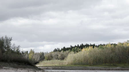 The tops of trees and bushes in the shade during the day under the clouds near a small river in the tundra of Northern Yakutia.の写真素材