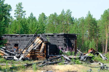The remains of the log burned wooden house after a fire without a roof with charred logs in the spruce forest of the Northern taiga of Yakutia.の写真素材