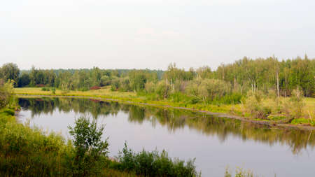 Overgrown with grass and remains of birches bar wild Northern lake with a reflection of the forest in Yakutia in the summer in the green grass and the shore in the shade.の写真素材