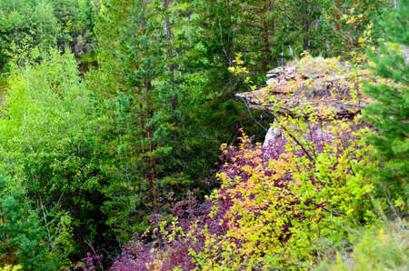 Bright autumn vegetation in the taiga on the mountainside against the background of erosion anomalies - clay mushrooms in Yakutia.の写真素材