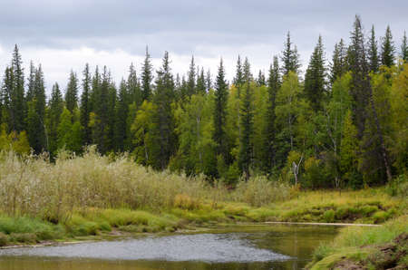 The wind creates ripples on the water of a small river among the spruce taiga of the wild North of Yakutia in the summer.の写真素材