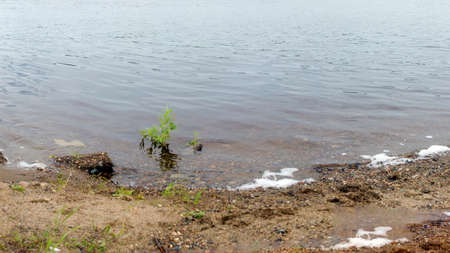 Panorama stone the shores of the North river with rocks grass and foaming waves.の写真素材