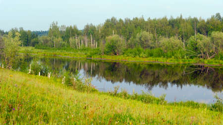 Overgrown with grass and remains of birches Bera wild Northern lake with a reflection of the forest in Yakutia in the summer in the green grass.の写真素材