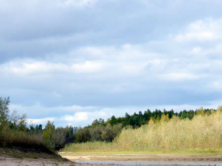 The tops of trees and bushes in the shade during the day under the clouds at a small river opposite the bright Sunny beach in the tundra of Northern Yakutia.の写真素材