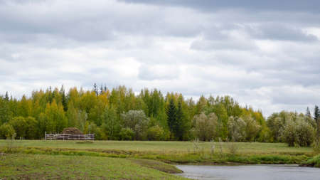 A lonely haystack behind the fence stands on a field by the lake in the wild taiga of the birch and spruce forest of Yakutia. The agriculture of the Northern peoples.の写真素材