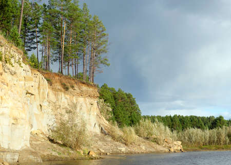 Pine Forest on a cliff near the river Bank with the erosion of clay soil and layers of land under the roots of trees in the wild tundra of Yakutia at sunset in the evening.の写真素材