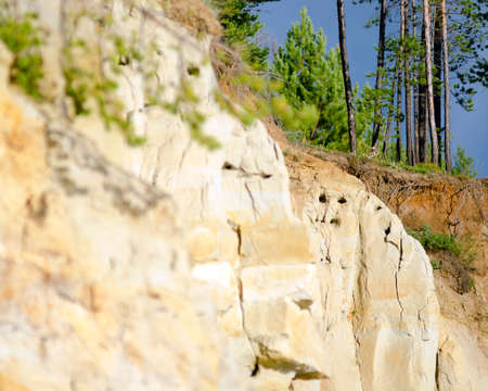 Clay cliff near the river with burrows in the form of a face and sticking out the roots of the collapsed trees of the Northern tundra in Yakutia near.の写真素材