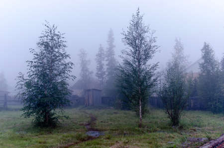 A small Yakut barn toilet stands at the end of the path between two birch trees among the green grass on a residential area in the autumn.の写真素材