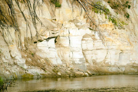 Clay cliff near the water of the river with erosional types of relief and protruding roots of collapsed pine trees of the Northern tundra in Yakutia nearby.の写真素材