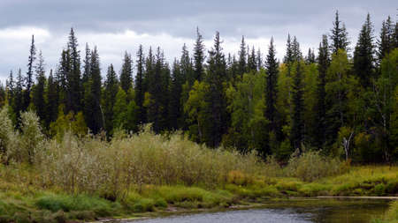 A bright evening in the Yakut tundra near a small river Kempendyay in spruce taiga in the North.の写真素材