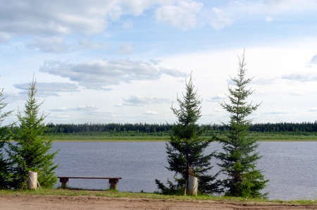 The road in the Northern Yakut village of ulus Suntar with small fir trees, a bench for rest goes along the cliff above the vilyu river with spruce tundra on the opposite Bank.の写真素材