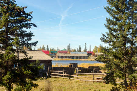 Bright day in the village of ulus Suntar in Yakutia on the overgrown pond in spruce trees with wooden barracks and toilet.のeditorial素材