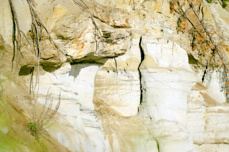The clay cliff by the river with erosive types of terrain and exposed roots of collapsed trees in the Northern forests of Yakutia in close proximity.の写真素材