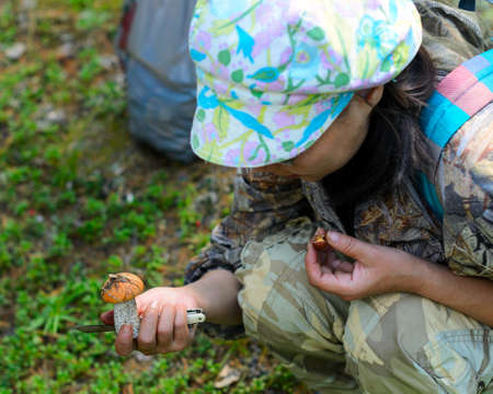 Girl tourist with a knife in his hand checks found a mushroom in the forest against the grass.の写真素材