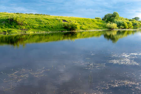 A small barely noticeable float stands in the water among the vegetation in the summer on a small river.の写真素材