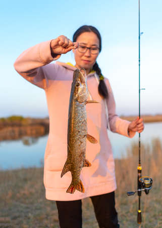 Yakut girl fisherman hard holding in his hand on the cord caught pike with spinning in the other hand on the background of the lake.の写真素材